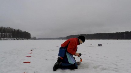 Чемпионат Гродненской области по зимнему лову рыбы. Поречье. 28.01.2017