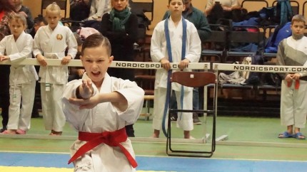 Первенство Гродненской области по каратэ среди юношей и девушек. г.Гродно. 18.11.2018г.