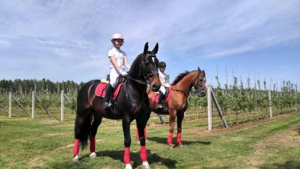 "Пламя мира" II Европейских игр. Гродненский район. День второй. 20.05.2019