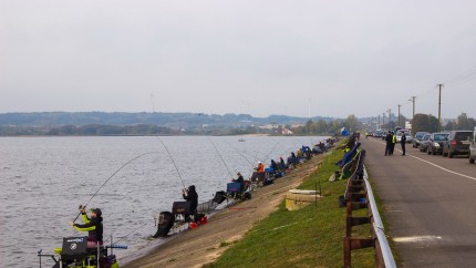 Открытый чемпионат Гродненской области по спортивному лову рыбы. Зельва. 11.10.2020