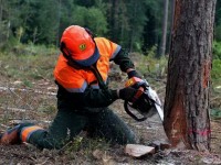 Не мужик с топором –  человек со сложным механизмом