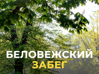 17 августа в г. Свислочь состоится легкоатлетический пробег "Беловежский забег 2024"