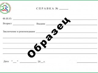 О порядке выдачи справки, подтверждающей спортивные достижения